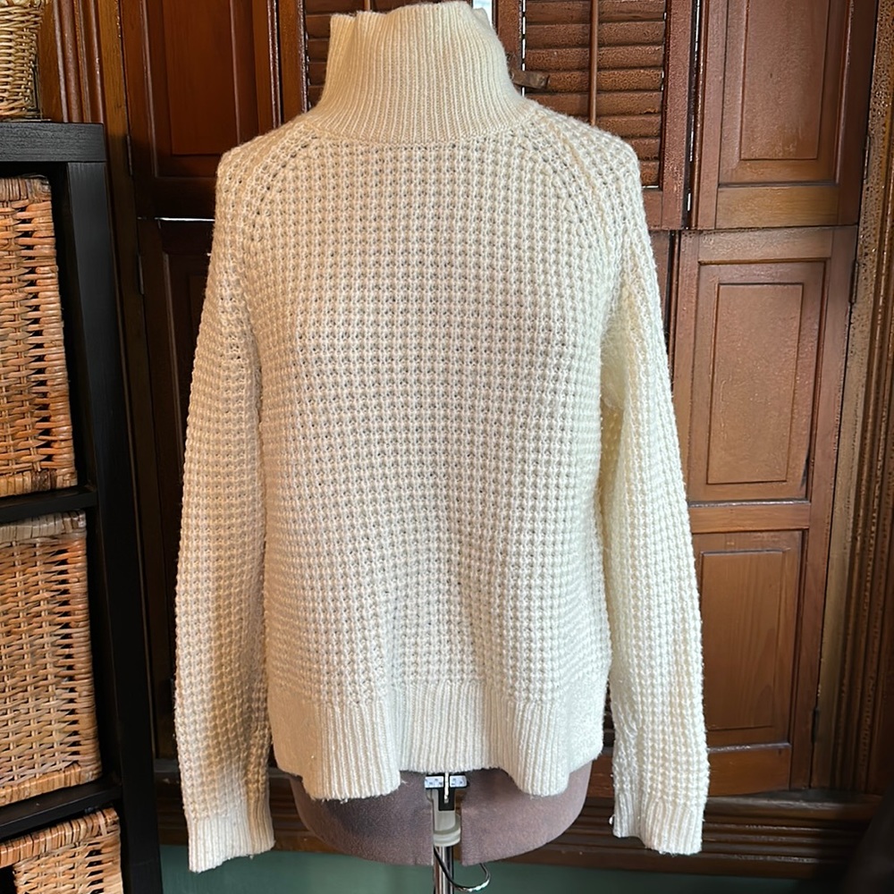 Loft chunky knit turtleneck sweater